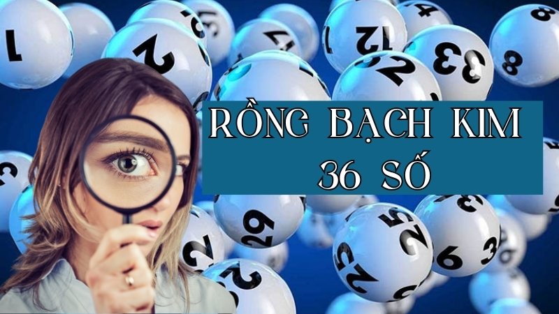 Rồng Bạch Kim 36 số - Chiến lược nuôi dàn đề hiệu quả