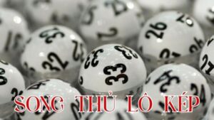 Song thủ lô kép là gì? Các dấu hiệu & cách soi cầu hiệu quả