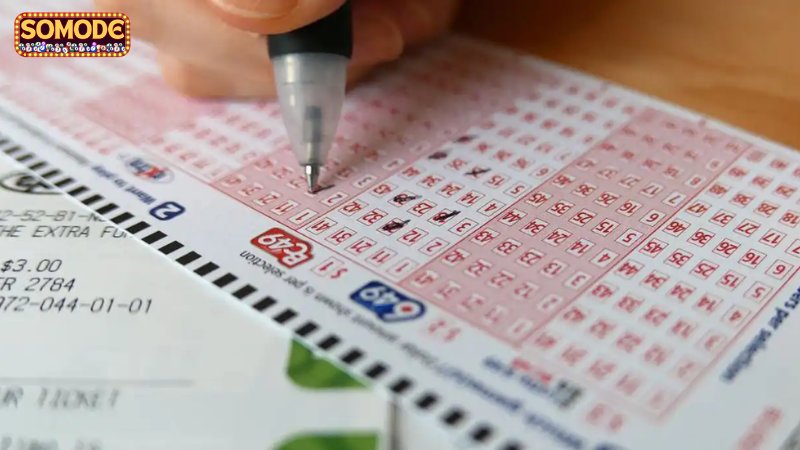 Ứng dụng thống kê kép trong việc soi cầu và nuôi lô đề